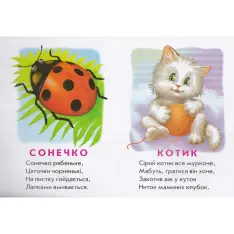 Книга Хто це? Котик. Фото 4
